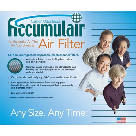 FILTERS-NOW Filters-NOW FO20X20X1=RBP 20x20x1 BDP Air Purifier Carbon Filters Pack of - 4 FO20X20X1=RBP